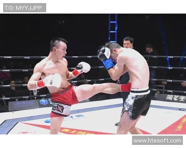 铁英华与丁宁巅峰对决乒乓球赛场上的激情与荣耀之战